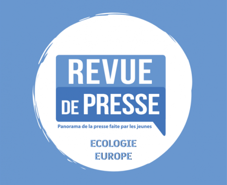 Revue de presse #3 – Décembre 2021